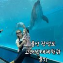 고래생태체험관 울산장생포고래박물관 울산아이와함께갈만한 곳 후기(+웰리키즈랜드까지)