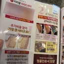 (주)빈체레바이오헬스 | 미라드라이 후기 내돈내산 3개월차 (신사역 미라드라이 효과 솔직 정리)