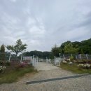 한기네닭집 | 충남 예산 반려견을 위한 '피플앤독 힐링캠핑장' 후기 및 예약방법