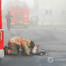 제주도수퍼마켓협동조합 이미지