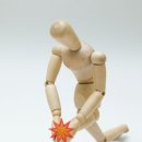 토종농산 이미지