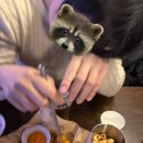 인쌩맥주강릉