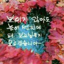 당신은 선물입니다 이미지