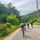 Peace | 2023 철원 DMZ PEACE 그란폰도 완주 후기 근데 풀숲다이빙 낙차를 곁들인