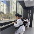 미르태권도장 이미지