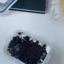픽미픽미아이스은서슈퍼점 | 블챌 패자부활전 신청합니다