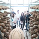 경제농장 이미지