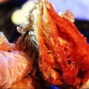 빨간병아리 이미지