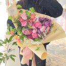 벨르플레르 이미지