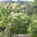 섭이네 농장 이미지