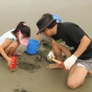 장삼포해수욕장 이미지