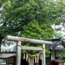 대왕농장2 이미지