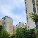 서희행정사무소 이미지