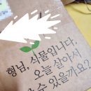3월 11일 <흙의 날> 반려식물: 아스파라거스 나누스 | 키우는 식집사라 이거야~ 고사리 분갈이하고 심은 후기_에버잼, 더피, 아스파라거스 나누스, 틸란시아