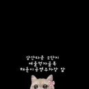 강인규수제족발