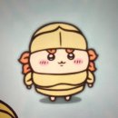 미니독열 이미지