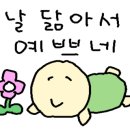 마리누스 이미지