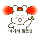 치즈폴댄스 이미지