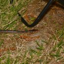 등화주유소 이미지