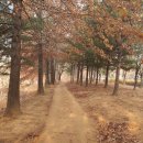 고양누리길 4코스 행주누리길 이미지