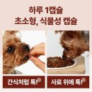 바이휴먼주