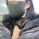 니치스