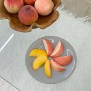 감곡2농장 | [공지] Premium 감곡 햇사레 복숭아 공구🍑 H백화점 납품, 진짜 맛있는 꿀복숭아 백도 황도💛