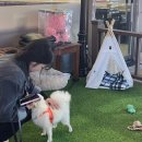 김포게임랜드 | 기헌아저녁먹지말고전역해라