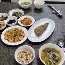 오늘 점심밥 이미지