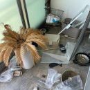 부산전자종합상가 | 부산유품정리 폐기물처리 꼼꼼한 청소와 소독까지