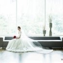 비바체(Vivace) 이미지