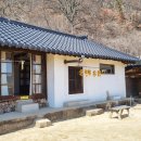 리틀 포레스트