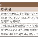 종합화장품 피부관리