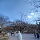 성보매점
