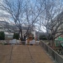 금련사유치원 이미지