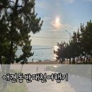 보헤미안펜션 | 2일차 : 대천해수욕장 펫비치(댕수욕장)/마니마니조개구이/그놈포차/보헤미안펜션/대천삼삼꽃게장/우유창고