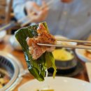 용촌고깃집 | 강원도 고성 현지인들이 가는 용촌고깃집 속초 돼지갈비 맛집 후기