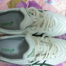 티그리어3(265), 레이저 3 HG 아바타 색상(260) 판매합니다. 이미지