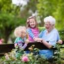 나눔방문요양센터 이미지