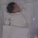 빈지게실버케어 | 제주 산후조리원 추천, 로열프린세스 3층 로즈메리 실버룸 이용 후기