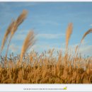 영남알프스 복합웰컴센터 이미지