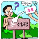 장흥편백