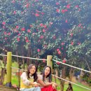 학성공원 화장실 이미지