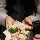 토리비 이미지