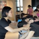아울콜렉티브