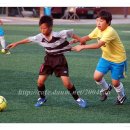 서울청량초등학교 이미지