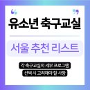 서울 유소년 축구교실 추천 리스트와 각 축구교실의 세부 프로그램