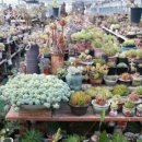 향촌농장 이미지