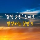 ＜혈액 순환 장애로 발생하는 질병 5＞ 이미지