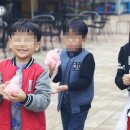 날아라킹콩 이미지